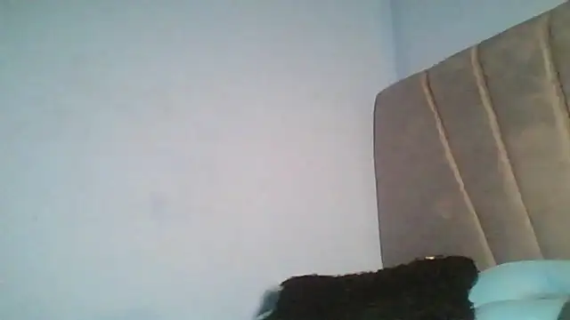 logatto_locat stripchat live cam model