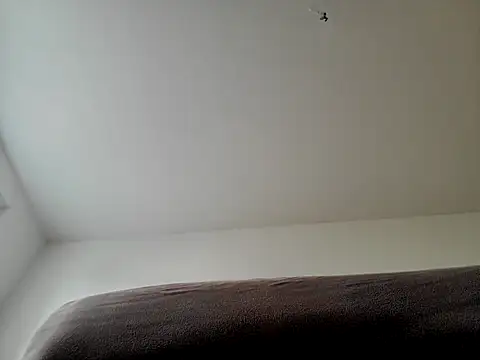 stivi2526 stripchat live cam model