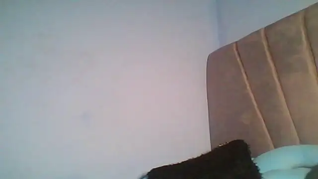 logatto_locat stripchat live cam model