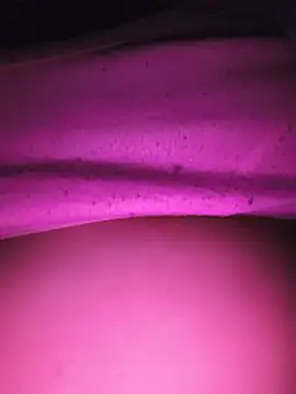 pallvi123 stripchat live cam model