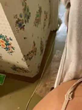 badfox5000 stripchat live cam model