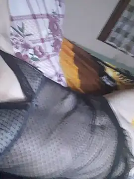 Masturchatte stripchat live cam model