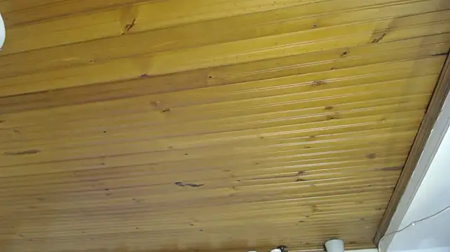 AyameFoxy stripchat live cam model