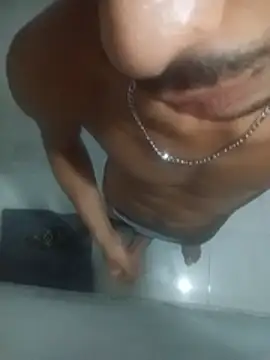 dzshbh2005 stripchat live cam model