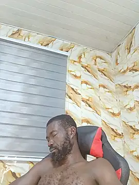Bulletact stripchat live cam model