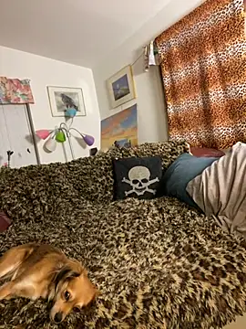 tsashelayamylynzy stripchat live cam model