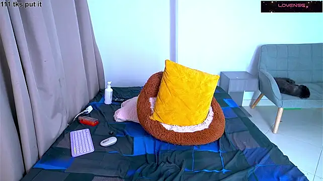 argiee_taylorxs2 stripchat live cam model