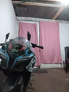Javiinbogota stripchat live cam model