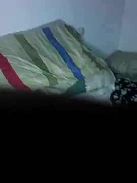 dreiico stripchat live cam model