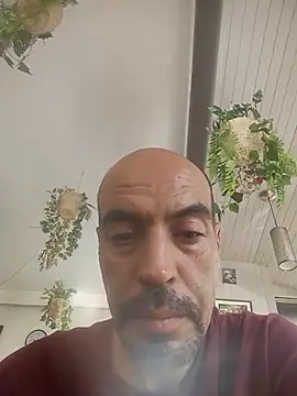 ton-zizi stripchat live cam model