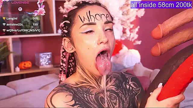 EvaCanton stripchat live cam model