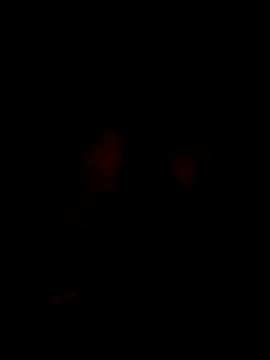 tamilmythile stripchat live cam model