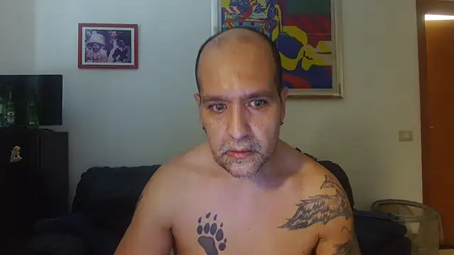 AMIRDIB2025 stripchat live cam model