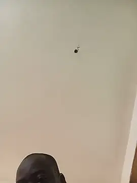WaiterZim stripchat live cam model