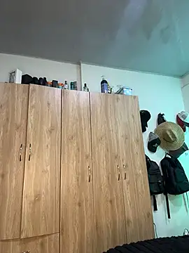 willclayy stripchat live cam model