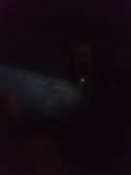 pornoxxxes stripchat live cam model