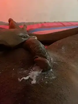 Faith15 stripchat live cam model