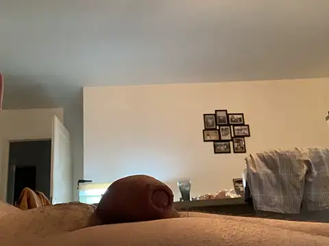 N4gashi stripchat live cam model