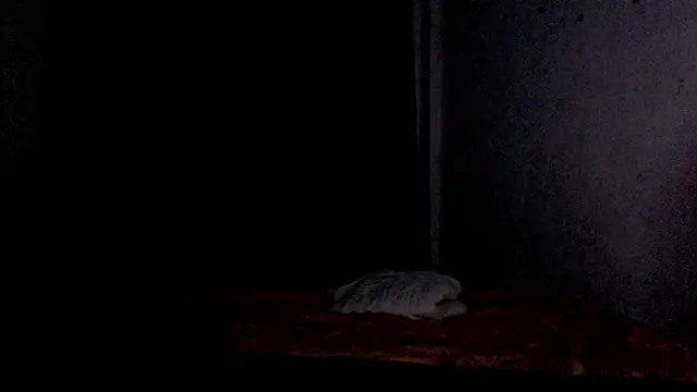 BrendaTaki stripchat live cam model