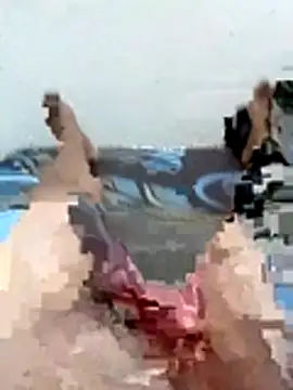 bikiboy stripchat live cam model