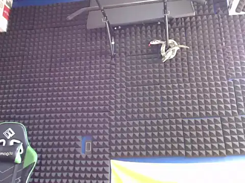 Gymbro42 stripchat live cam model