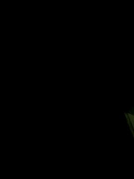 dickforpussyy stripchat live cam model