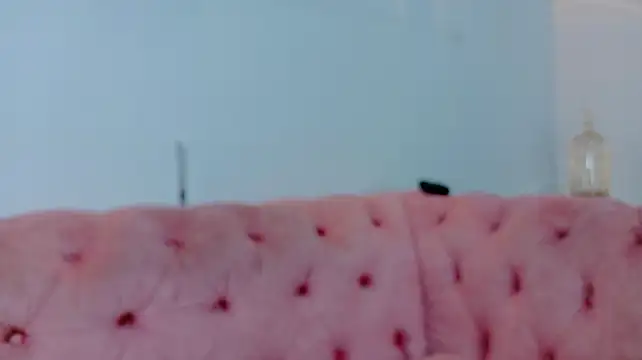 Celeeste_prado stripchat live cam model