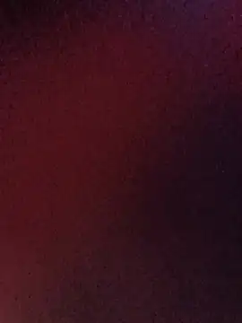 LilDaddyX stripchat live cam model