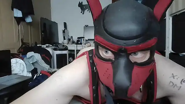 PigDadDog stripchat live cam model