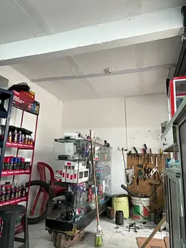 Paul22cm- stripchat live cam model