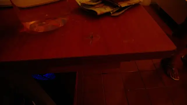 MiiaDelgado stripchat live cam model
