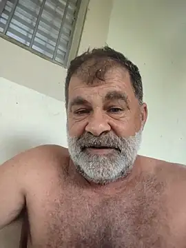 Peludo173317 stripchat live cam model