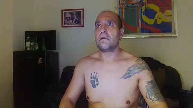 AMIRDIB2025 stripchat live cam model