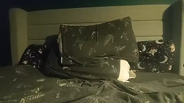 TransSwitchA stripchat live cam model