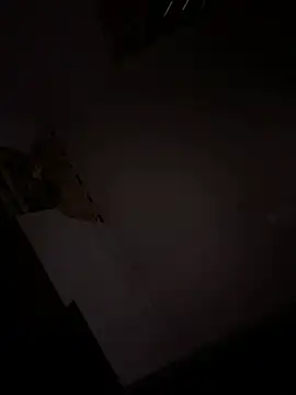 CoyoteDuMato stripchat live cam model