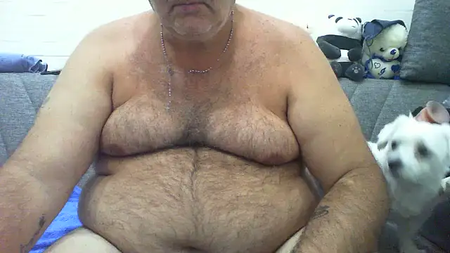DaddyHot71 stripchat live cam model