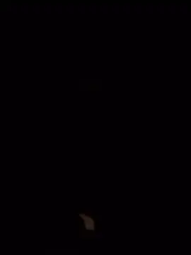 Lucas567292 stripchat live cam model