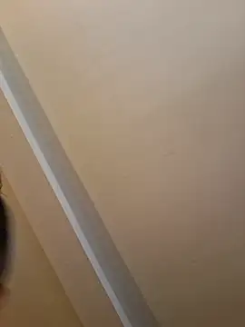 Cmc9661 stripchat live cam model