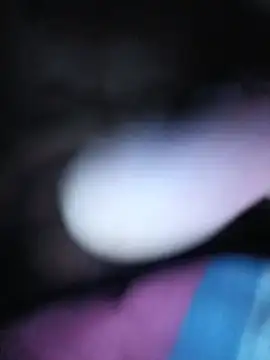 zinedean25 stripchat live cam model