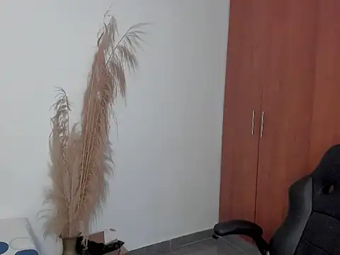 evansdark01 stripchat live cam model