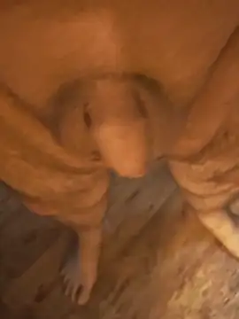 Pseudo05 stripchat live cam model