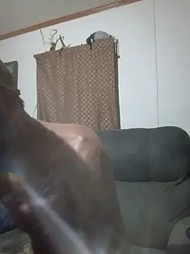 longerFellow stripchat live cam model