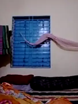 Ripa- stripchat live cam model