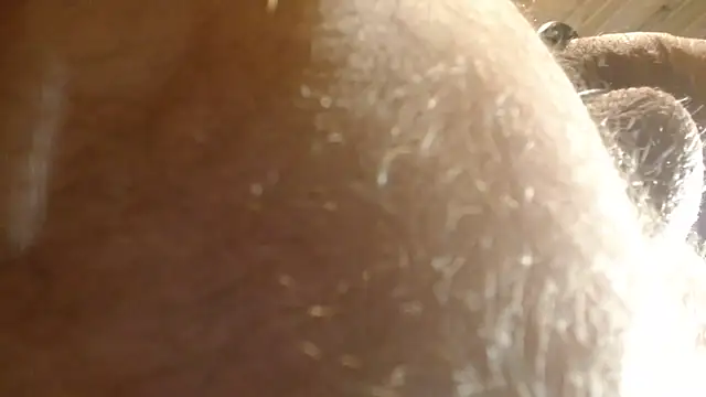 coquinfrenchaud stripchat live cam model