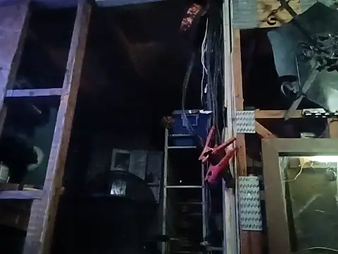 Bigdickk4yourpussy stripchat live cam model