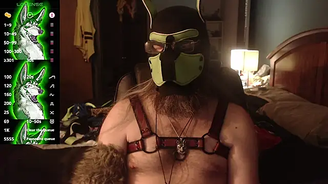 kinkywolf429 stripchat live cam model