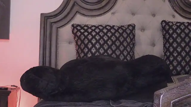 LyannaGardner stripchat live cam model