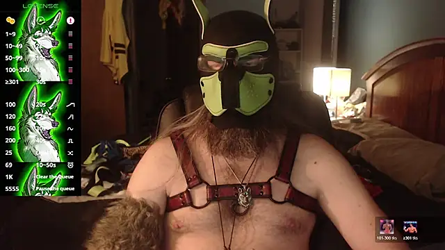 kinkywolf429 stripchat live cam model