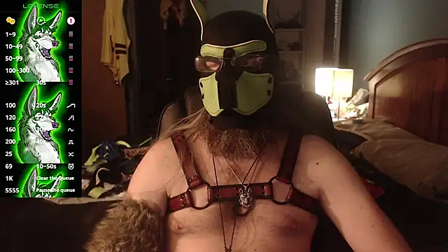 kinkywolf429 stripchat live cam model