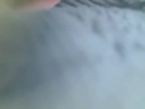 Orarlovr stripchat live cam model